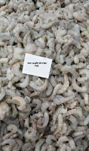 Frozen Sea Caught Shrimp