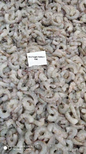 Frozen Sea Caught Shrimp