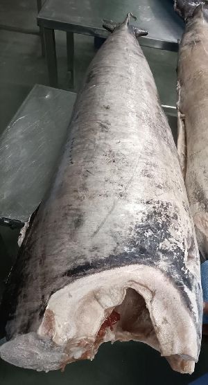 frozen swordfish