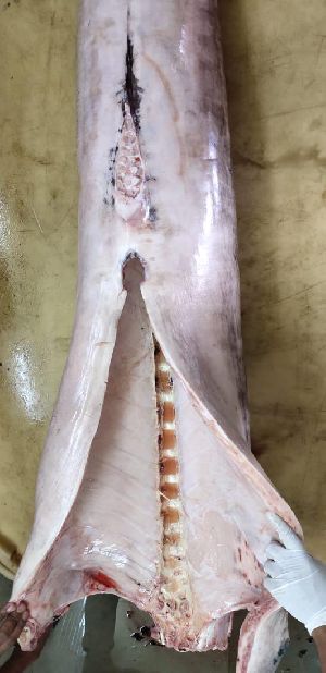 frozen swordfish