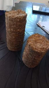 Biomass Briquettes