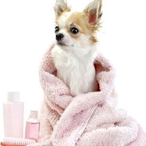 pet shampoo