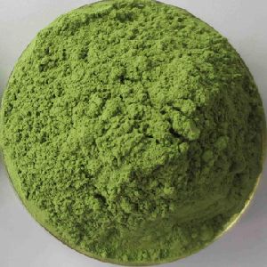 BARLEY GRASS EXTRACT POWDER