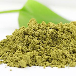 Basil Leaves Powder