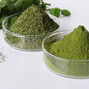 Moringa Leaves Powder