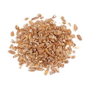 Cracked Emmer Wheat