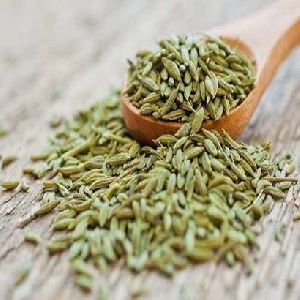 Fennel Seeds