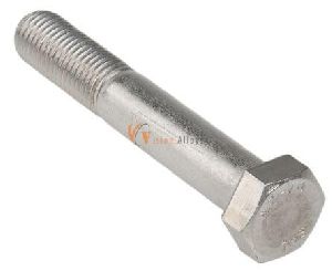 Stainless Steel Hex Bolts