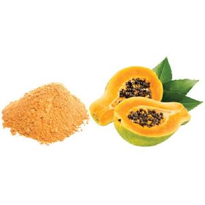 Spray Dried Papaya Powder
