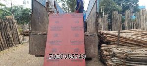 Shuttering Plywood