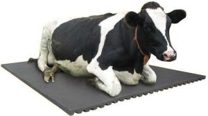 rubber cow mat