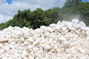 dolomite powder