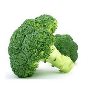 Broccoli Extract