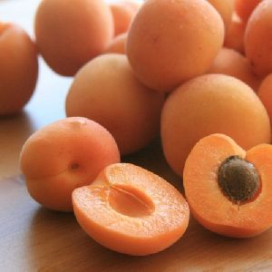 Fresh Apricot