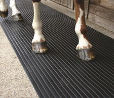 Horse Stable and Cow Mats