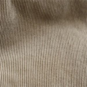 Beige Corduroy Fabric