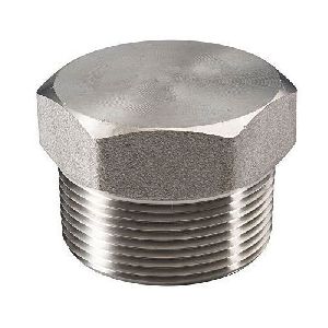 Stainless Steel Pipe Plug