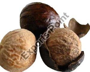 Premium Nutmeg
