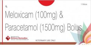 Meloxicam and Paracetamol Bolus