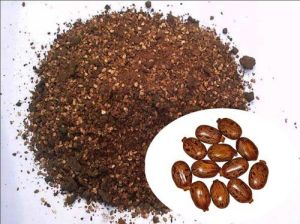 Castor Seed Extraction Meal