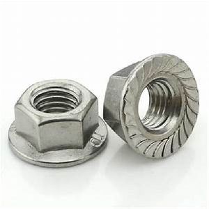 SS Hex Flange Nut