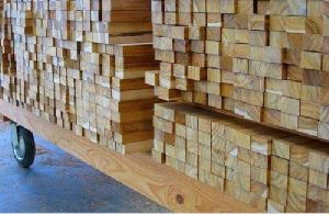 Teak Wood