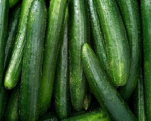 Fresh Cucumber