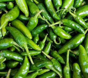 Fresh Green Chilli