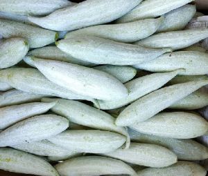 Fresh Snake Gourd