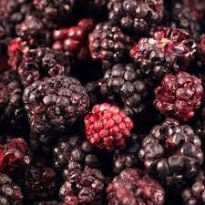 Freeze Dried Blackberry