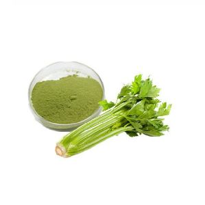 Freeze Dried Celery Powder