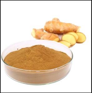 Freeze Dried Ginger Powder