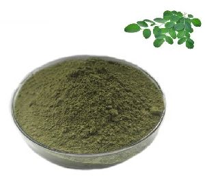 Freeze Dried Moringa Leaf Powder