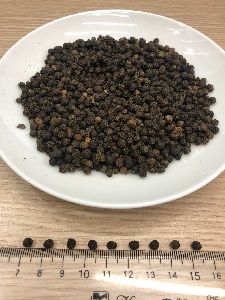 Black Pepper