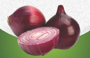 Onion