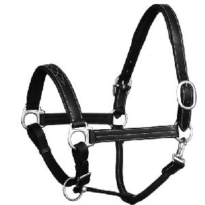 Horse Halters