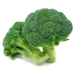 Fresh Broccoli