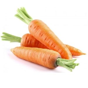 Fresh Carrot