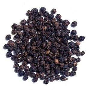 Black Pepper Seeds