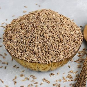 Singapore Cumin Seeds