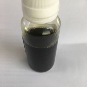Blackberry Liquid Extract 10:1