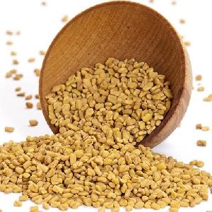 Fenugreek Seeds