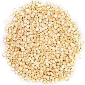 Quinoa Seeds