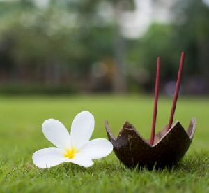 Coconut Incense Stick Holder