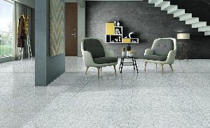 Double Charge Vitrified Tiles