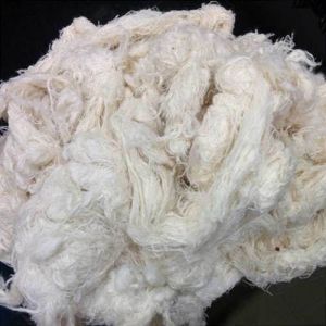 Hard Cotton Waste