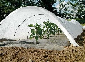 Plant Protection Crop Covers
