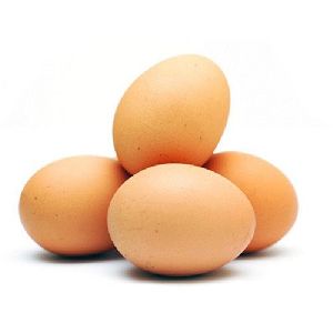 Brown Eggs