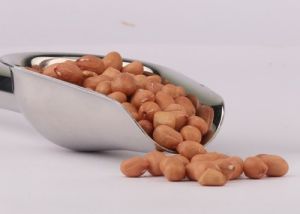 Organic Raw Groundnut