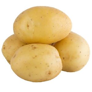 Potato